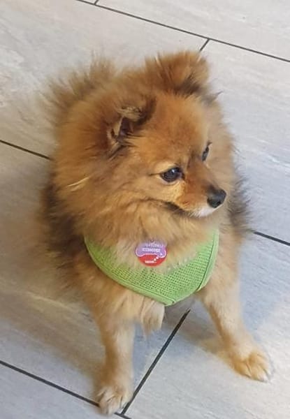 Bertha in 42859 Remscheid