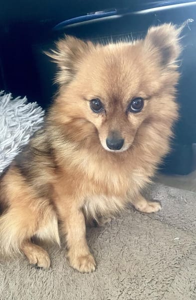 Bertha in 42859 Remscheid