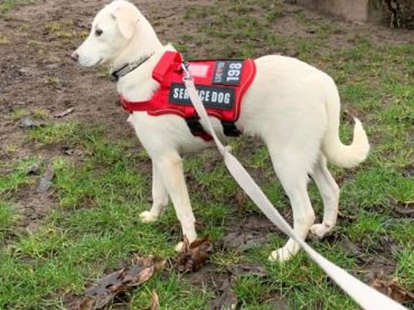 Möchten Sie Itria ein Zuhause geben?