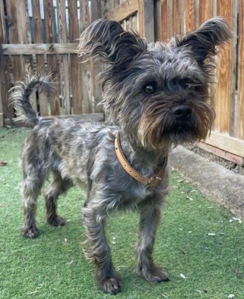 LAYA 💝 super süß, lieb, verträglich