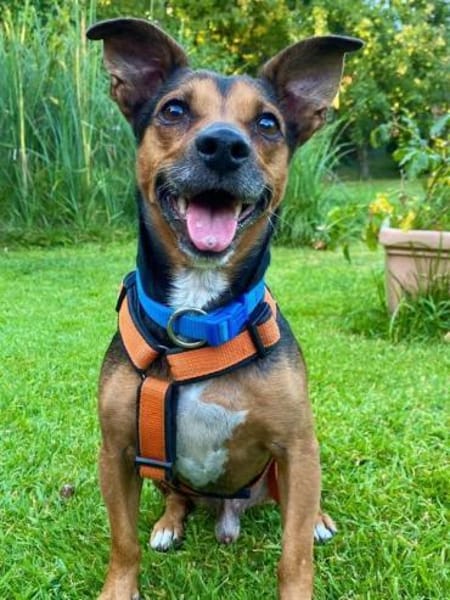 Ernie wartet und wartet.........