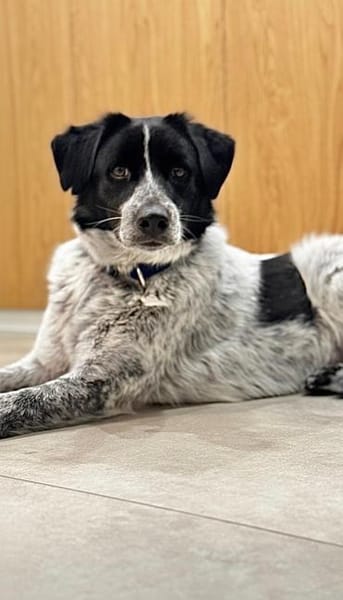 wunderschöne Meggy ist einfach super