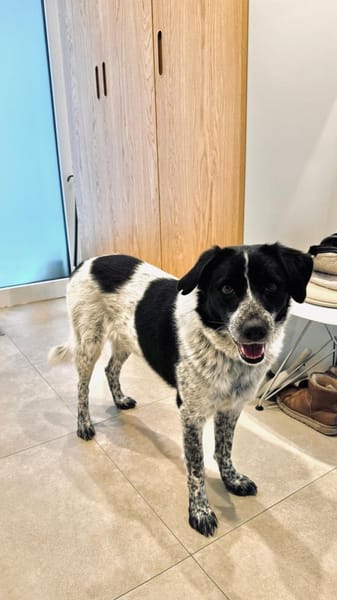 wunderschöne Meggy ist einfach super