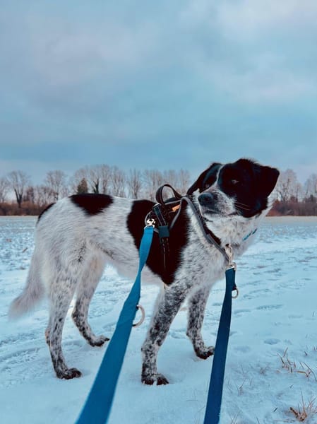 wunderschöne Meggy ist einfach super
