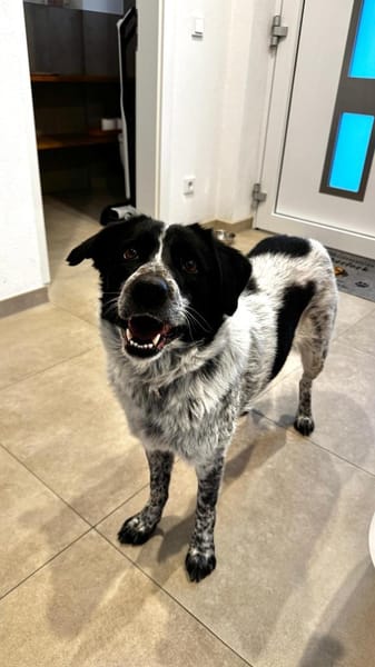 wunderschöne Meggy ist einfach super