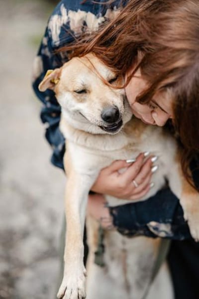 unter 50cm klein und total lieb Barashka