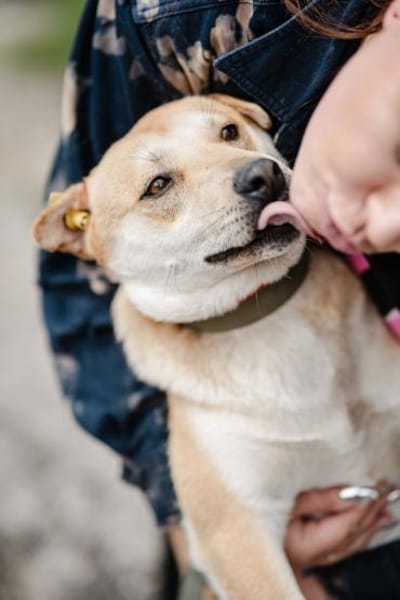 unter 50cm klein und total lieb Barashka