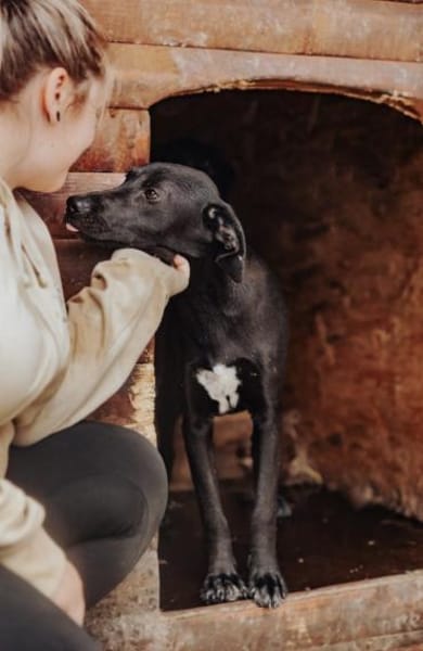 Sanfte Hailey wartet auf ihr Glück