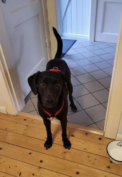 Sanfte Hailey wartet auf ihr Glück