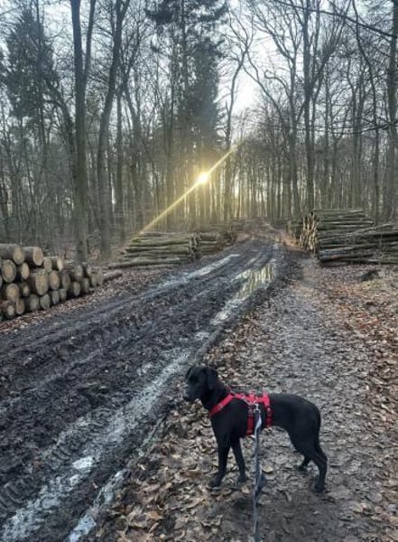 Sanfte Hailey wartet auf ihr Glück