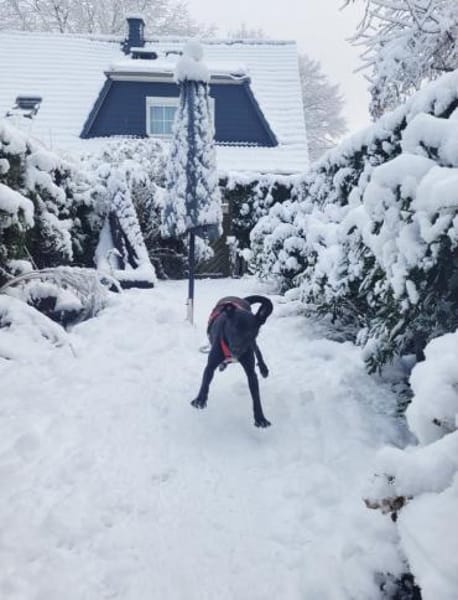 Sanfte Hailey wartet auf ihr Glück