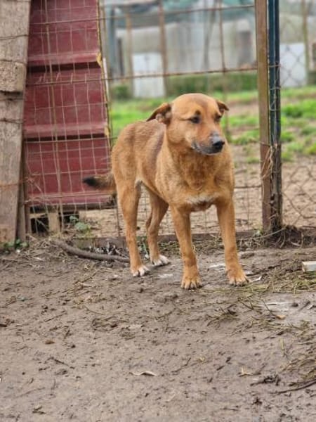Emily🧡🧡🧡sucht Herzensmenschen