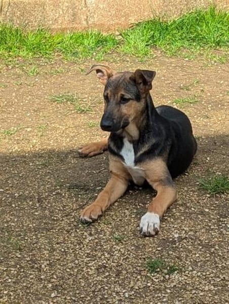 Bruce sucht seine Menschen