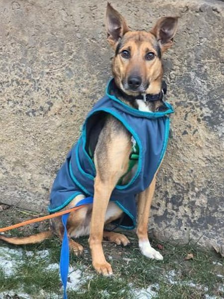 Bruce sucht seine Menschen