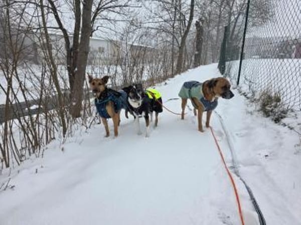 Bruce sucht seine Menschen