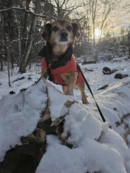 Moritz - begegnet allen Menschen offen