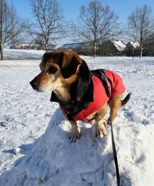 Moritz - begegnet allen Menschen offen