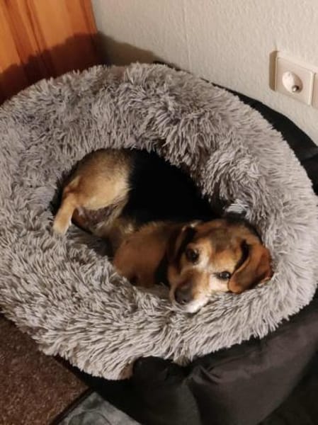 Moritz - begegnet allen Menschen offen