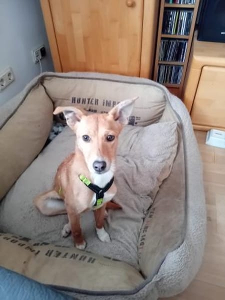 RAJA 🧡🧡🧡 kleine Weltentdeckerin