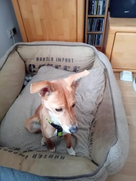 RAJA 🧡🧡🧡 kleine Weltentdeckerin