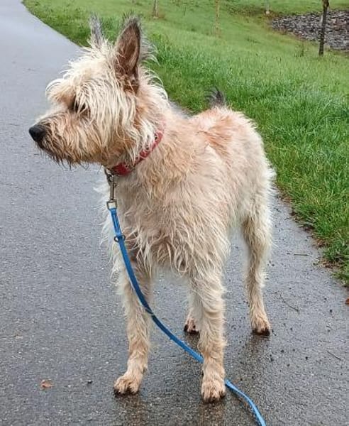 ROCKY 💛 verträglich mit ALLEM!