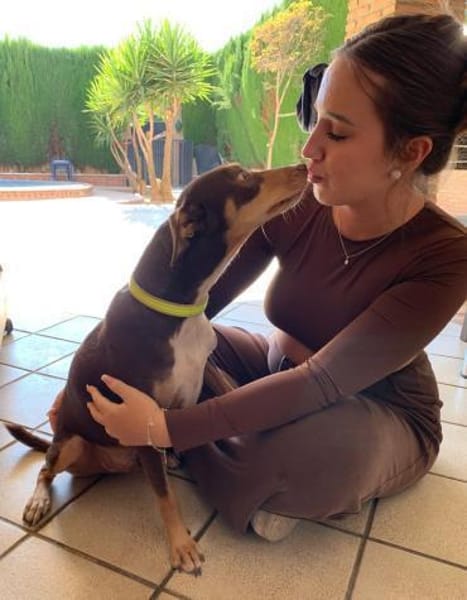 LEMON sucht sein Glück