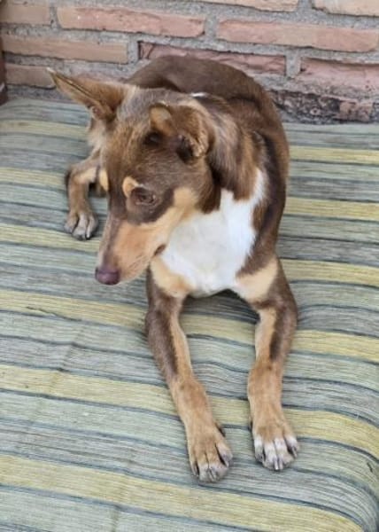 LEMON sucht sein Glück