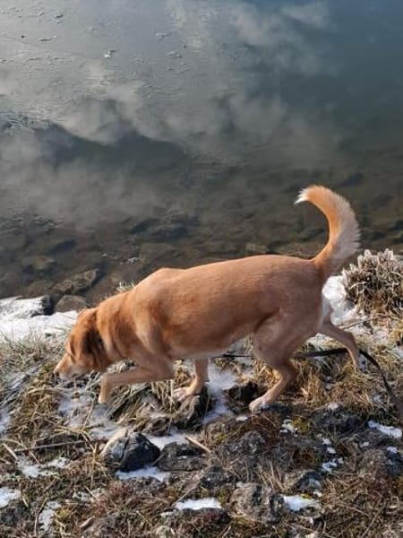 Arya - kuschelt viel&ist gerne dabei