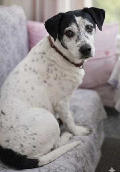 Dona die Wundervolle