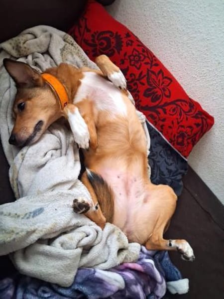 YUMA -SENSIBLE SEELE SUCHT VERTRAUEN