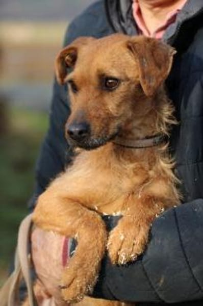 Turia - aufgeweckt u. unkompliziert