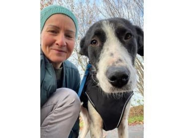 Kira  wartet in 21502 Geesthacht