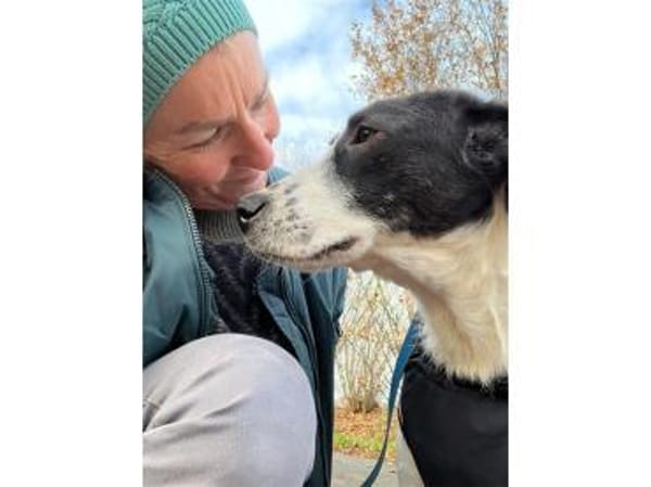 Kira  wartet in 21502 Geesthacht