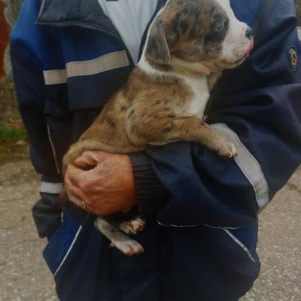 💛Freeda und Franklyn...beide suchen ein