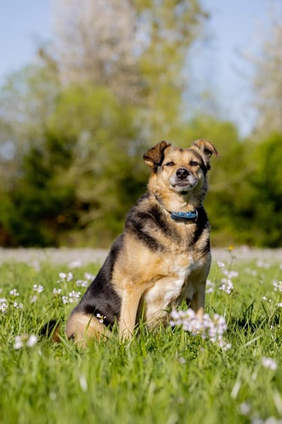 Mimi - 76189 Karlsruhe