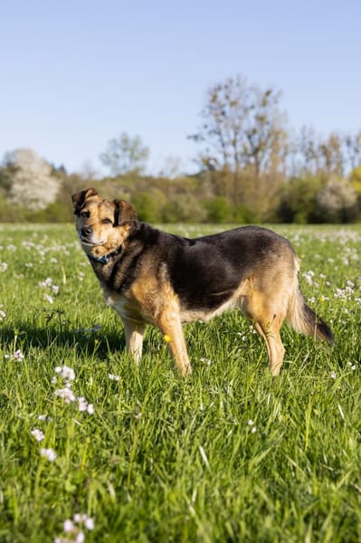 Mimi - 76189 Karlsruhe