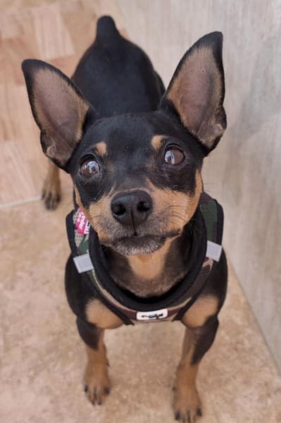 Black wartet auf seine Familie