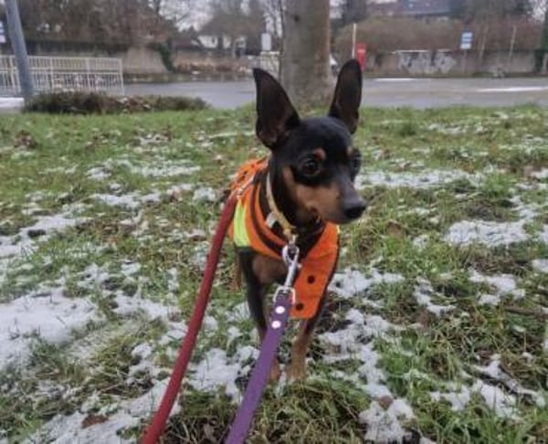 Black wartet auf seine Familie