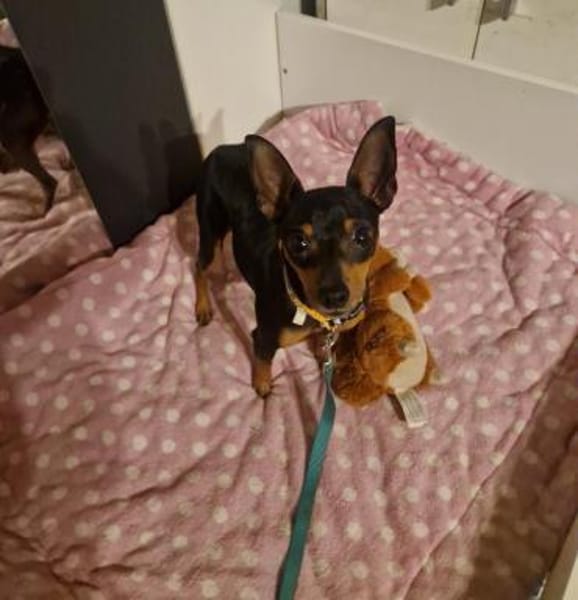 Black wartet auf seine Familie