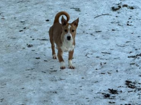 LEILA 🧡🧡🧡 schönes Plätzchen gesucht