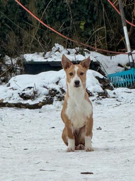 LEILA 🧡🧡🧡 schönes Plätzchen gesucht