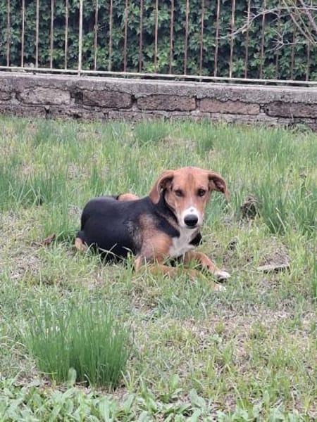 Ettore 💙💙💙 Wer heilt seine Seele?