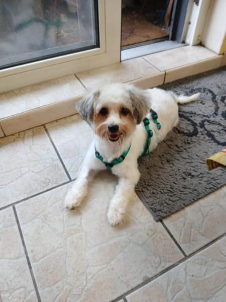 ELSIE - aufgeschlossen und agil