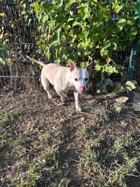 TSUNAMI - starke Seele mit viel Liebe