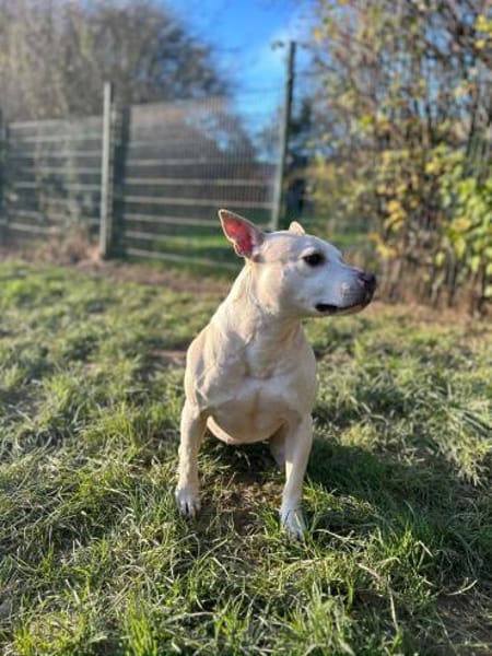 TSUNAMI - starke Seele mit viel Liebe