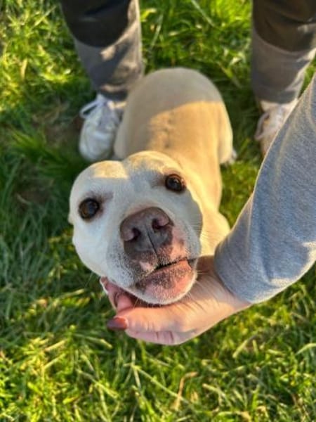 TSUNAMI - starke Seele mit viel Liebe