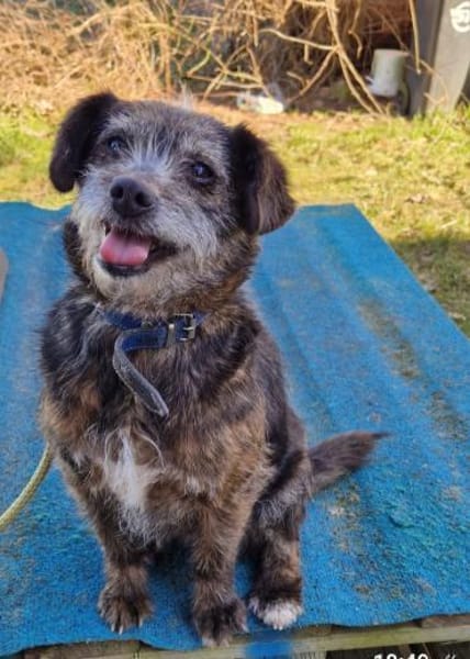 Uschi und Jack - Unzertrennlich