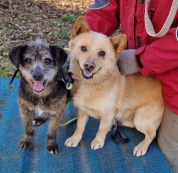 Uschi und Jack - Unzertrennlich