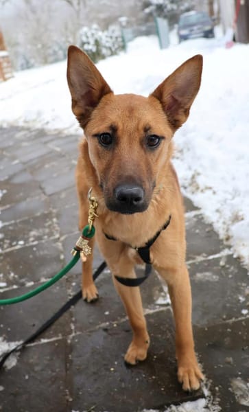 Jette - kleine Abenteurerin 😍