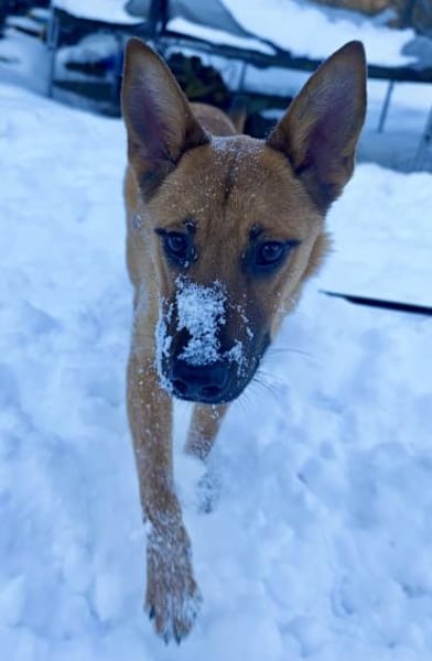 Jette - kleine Abenteurerin 😍